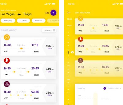 flight-app-concept